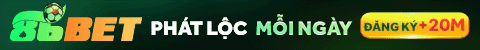 top banner