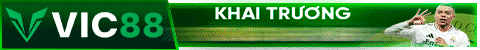 top banner