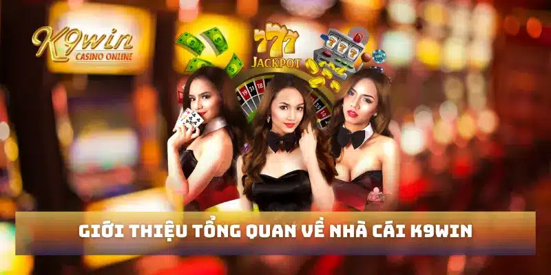 Trang chủ 290 Giới thiệu tổng quan về nhà cái K9win