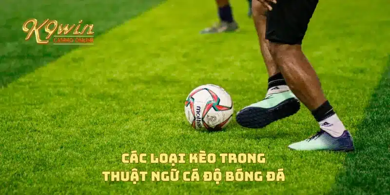 Các loại kèo trong thuật ngữ cá độ bóng đá