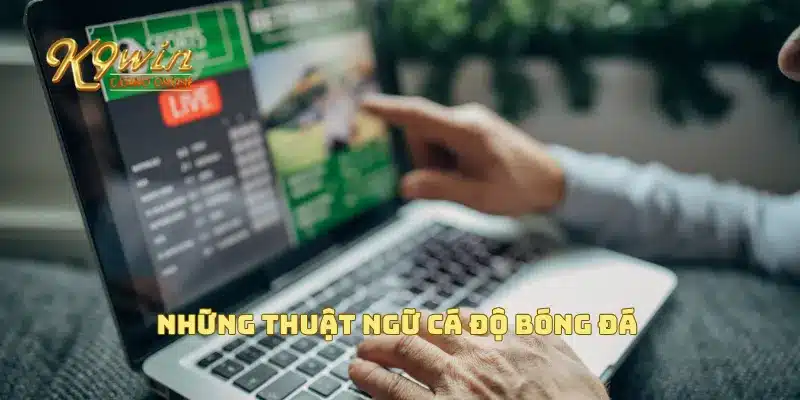 Những thuật ngữ cá độ bóng đá